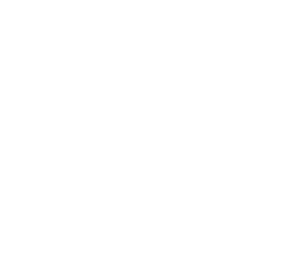W Hotels